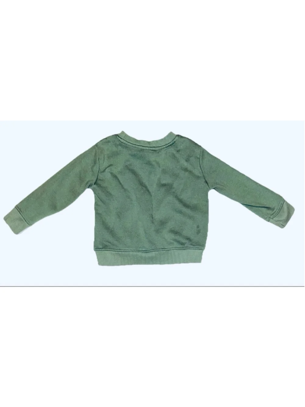 Boys Champion Green Sweatshirt & Cargo Jogger Set 3T